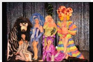 Discoshow